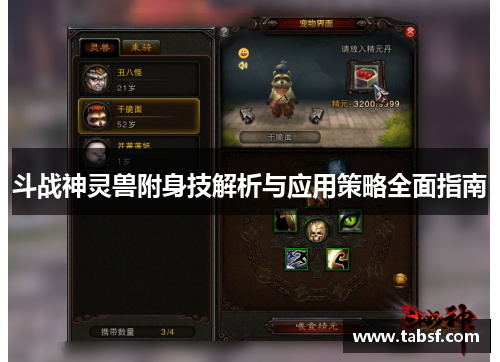 斗战神灵兽附身技解析与应用策略全面指南